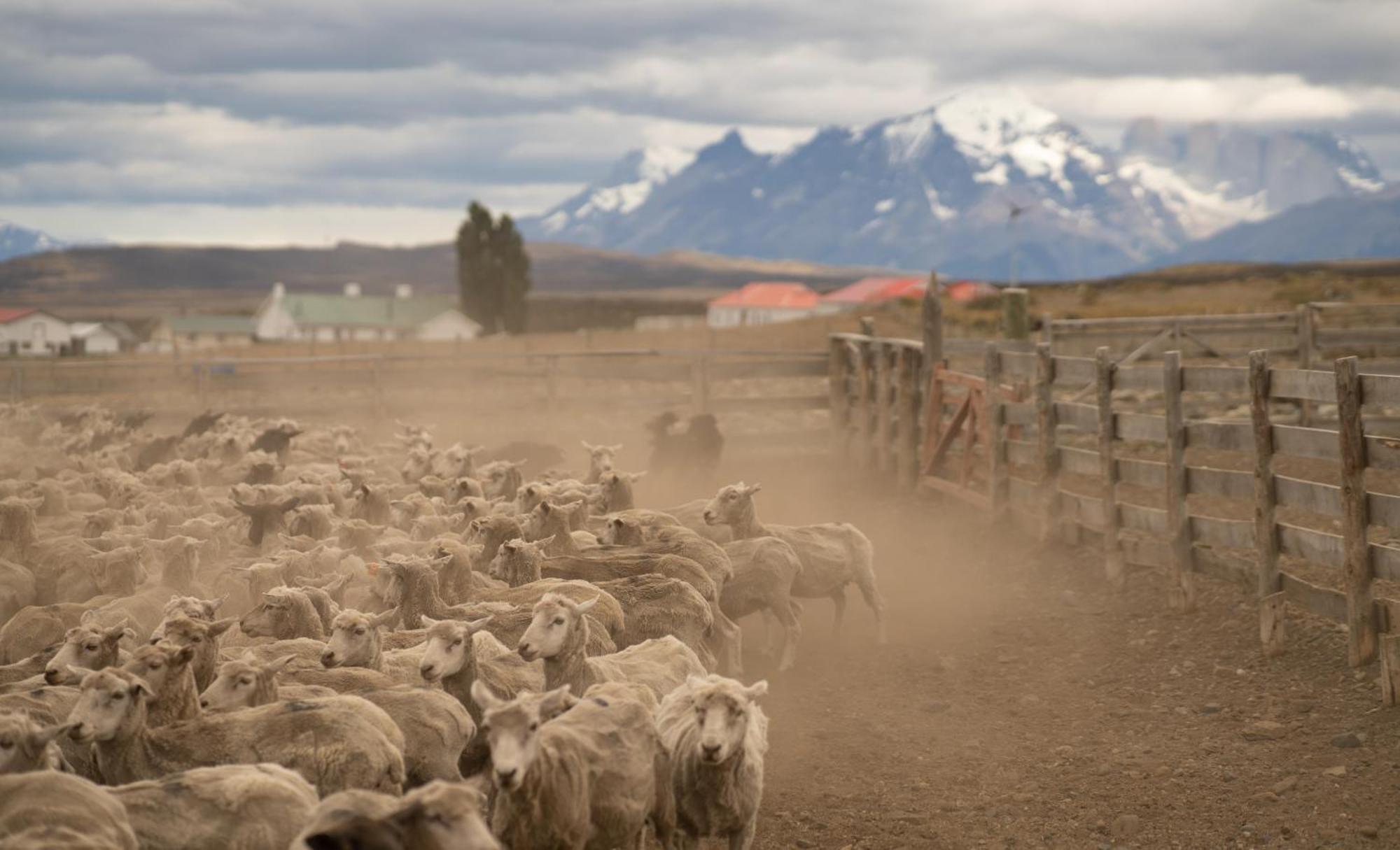 Estancia Cerro Guido Torres del Paine National Park Bagian luar foto