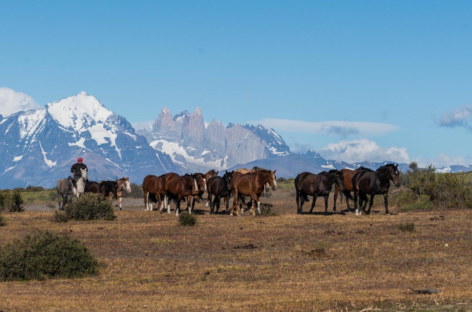 Estancia Cerro Guido Torres del Paine National Park Bagian luar foto